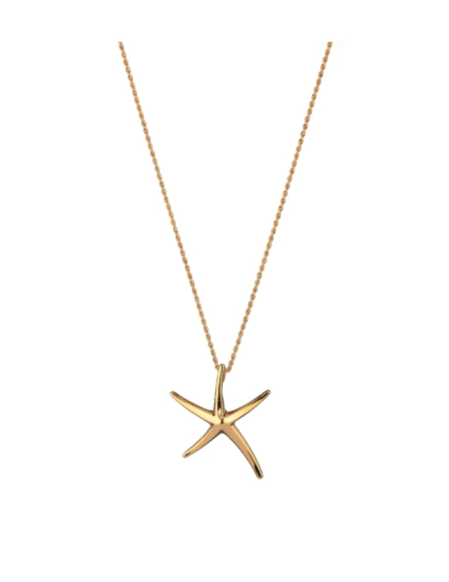 Colgante Estrella de Mar...