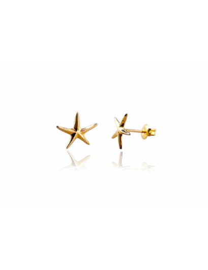 Pendientes estrella de mar...