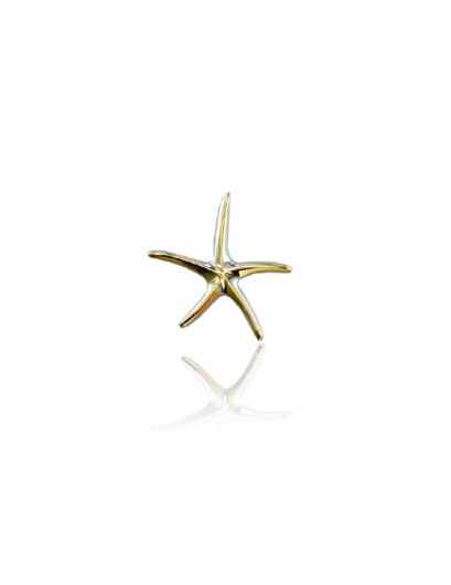 Colgante estrella de mar...