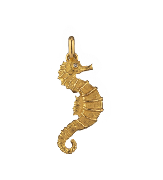 Colgante caballito de mar...